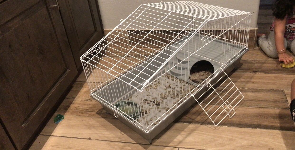 Guinea Pig Cage 