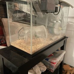 Fish tank 25 gallon with solid wood stand