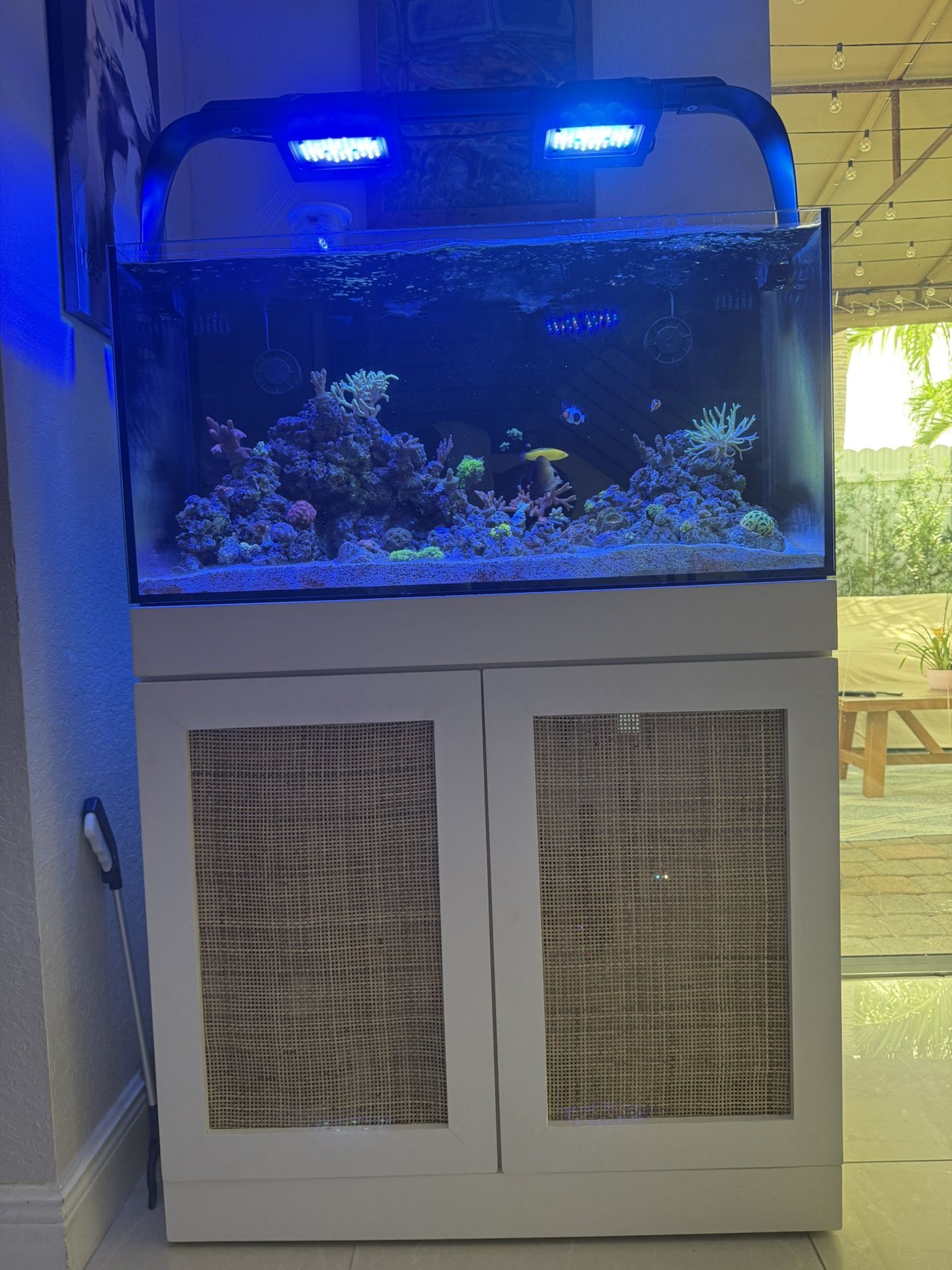 Waterbox Saltwater Aquarium 50.3 AIO Complete