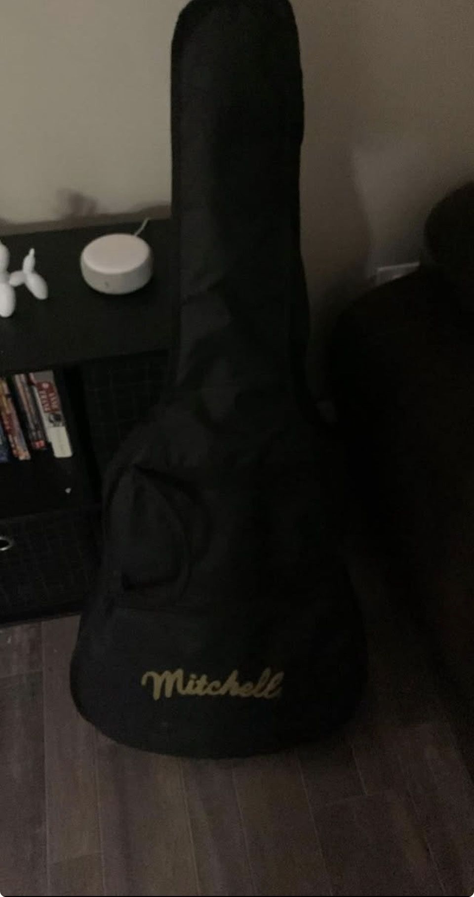 Mitchelle Acoustic Guitar