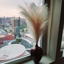 Black Vase And Pampas Grass
