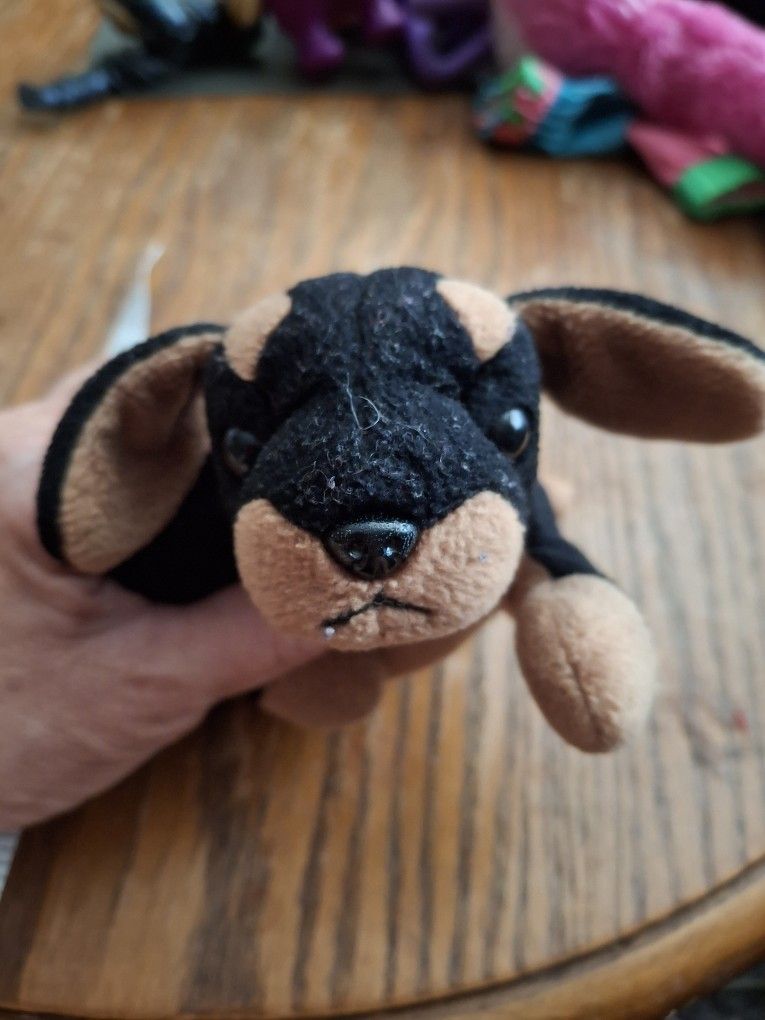 Ty Beanie Baby, Doby, Doberman Pinscher dog