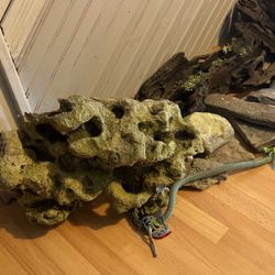 Fish Tank Reptile Stone Corals