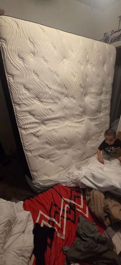 Big fig king mattress