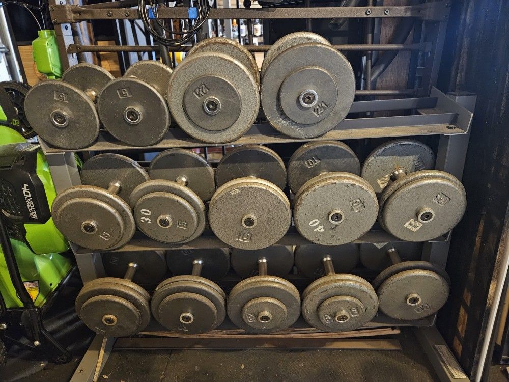 Pro dumbbell set with rack 10lb through  50lb