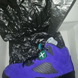 Air Jordan 5 Retro Alternate Grape  