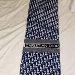 Christian Dior Scarf 