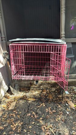 Animals cages