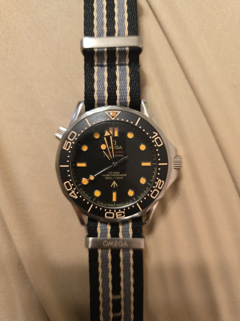 OMEGA Seamaster Pro 007 NTTD Edition Titanium Case