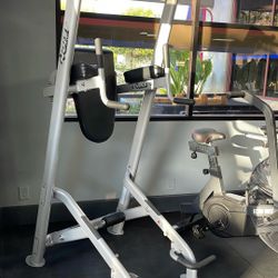 🔴HOIST POWER TOWER🔵FITNESS WORKOUT GYM EQUIPMENT 