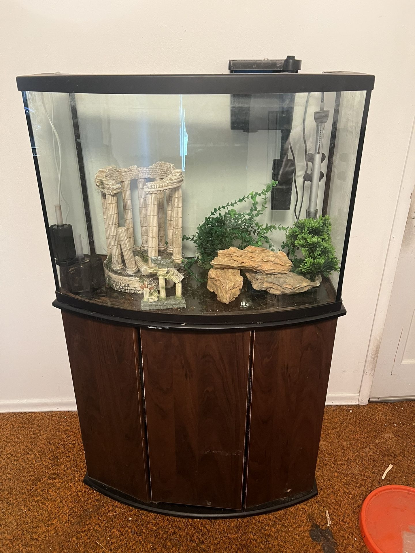46 Gallon Bow Aquarium Set up