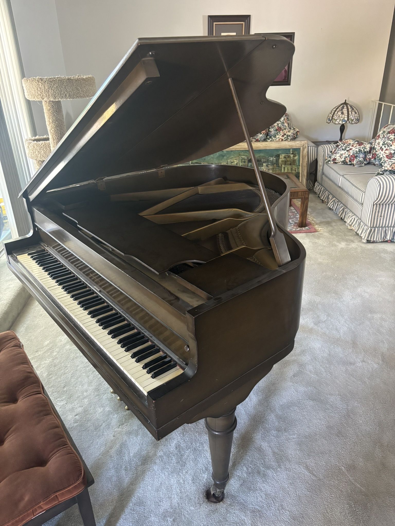 Brambach Baby Grand Piano
