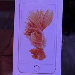 2 Empty iPhone Boxes