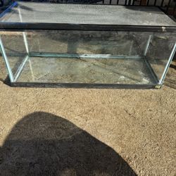 Large Reptile Tank 