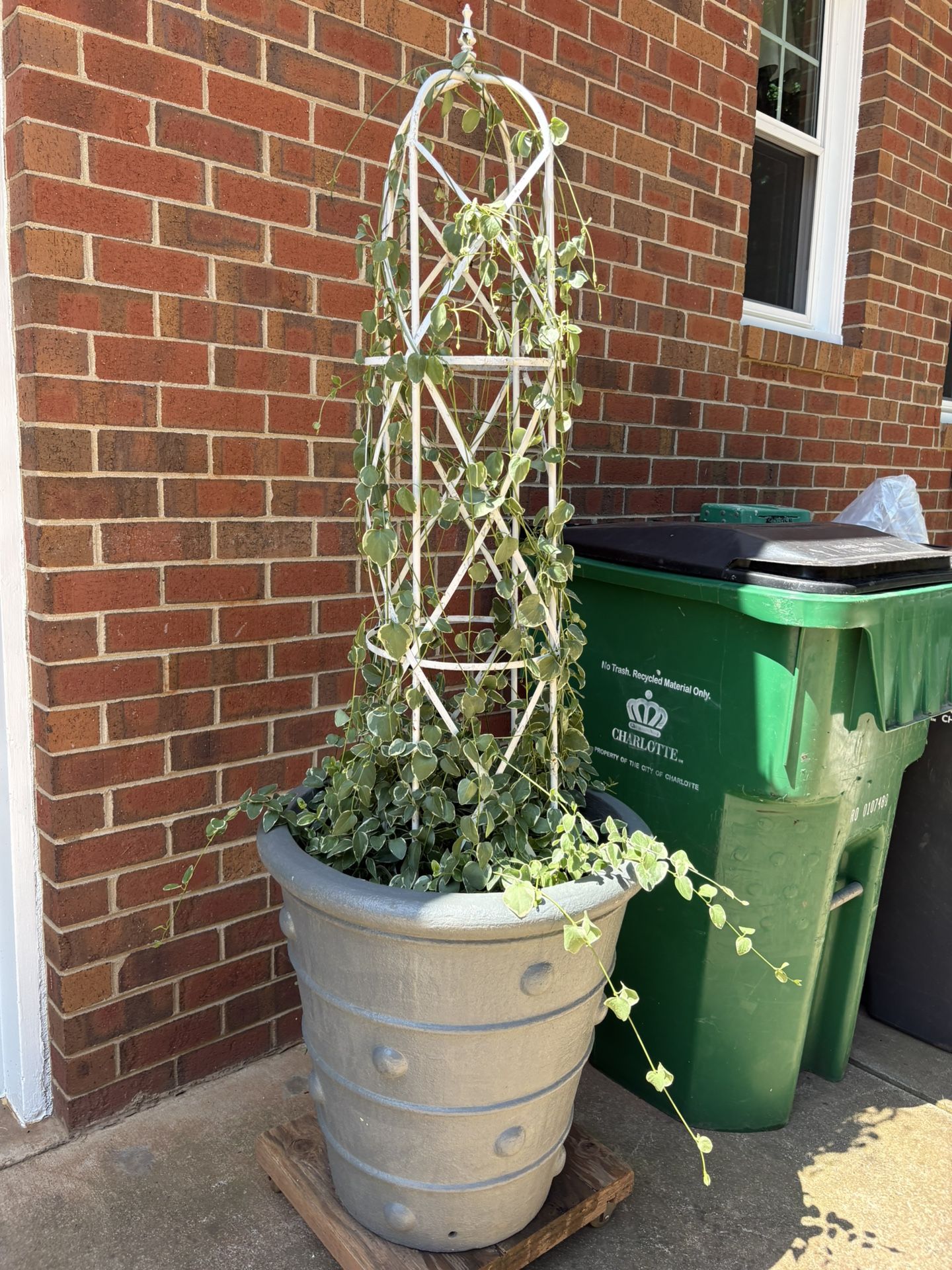 2 Large Light Weight Cement Bases