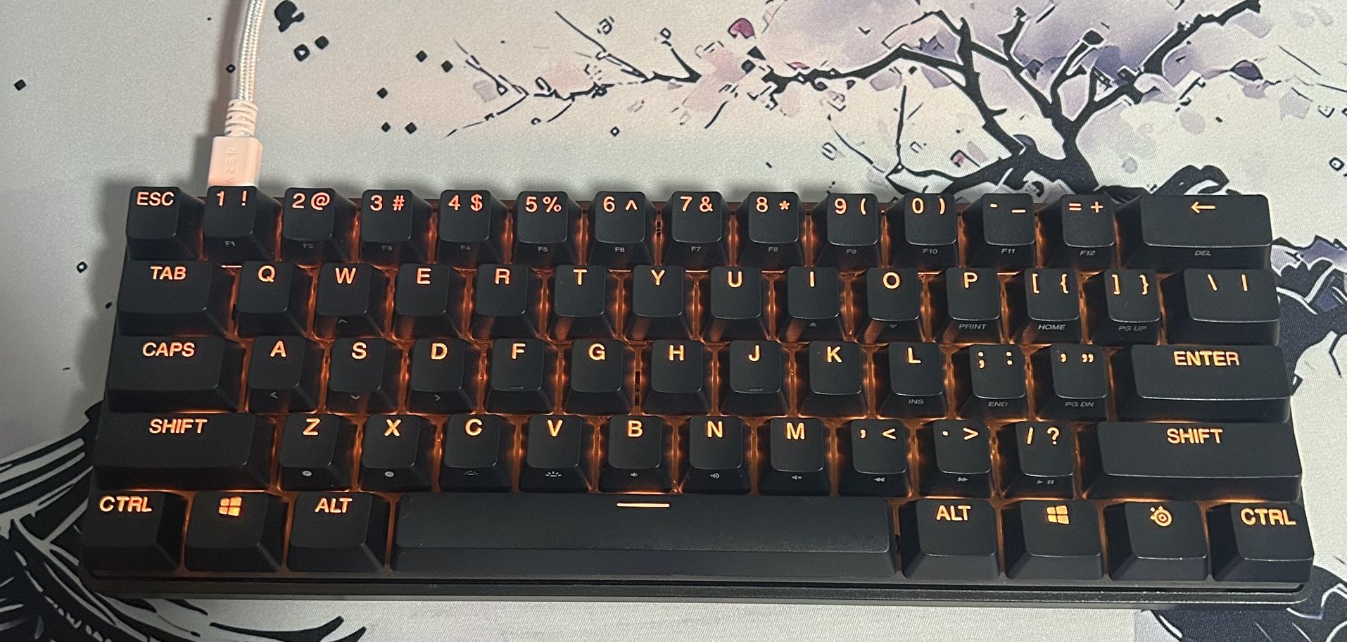 Apex Pro Mini (NO BOX)