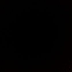 I do not have fertilized eggs or ducklings