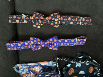 Medium dog collar