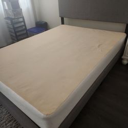 Padded Bed Frame And Box Springs