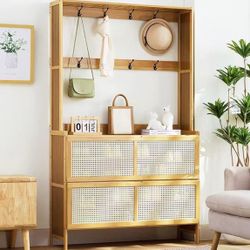 Shoe Storage Cabinet with Coat Rack