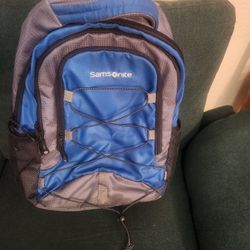 Samsonite Laptop Backpack