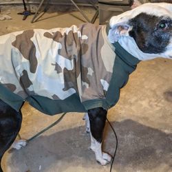 I Sell Upcycled Dog Clothes