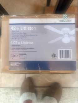 Ceiling fan