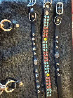 Harley Davison  belt for small dog like chihuahua