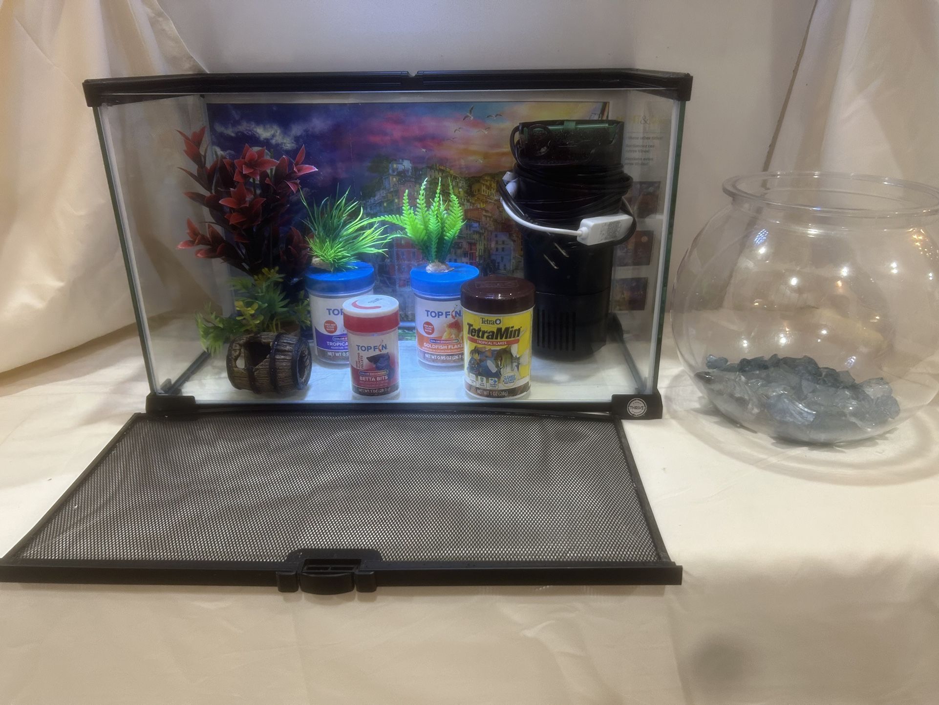 Glass Tank W/ Cover & Filter