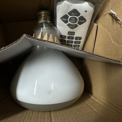 Pool Underwater Light 