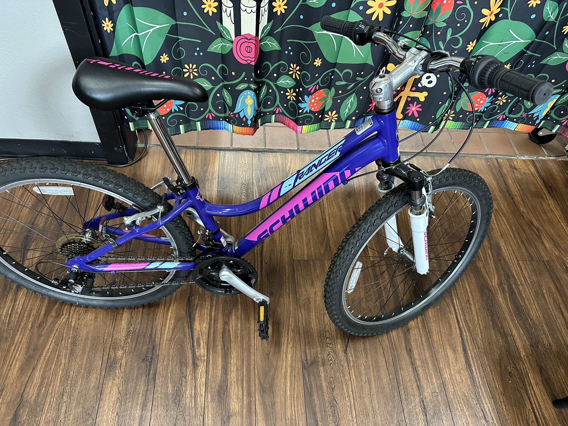 Schwinn Ranger Youth Bike