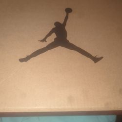 NIKE Air Jordan 12 Retro
