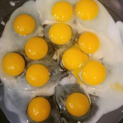 Quail, Eggs, Organic