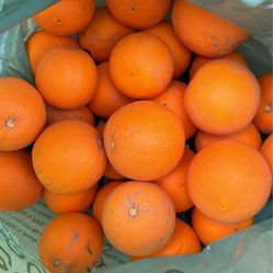 Bag Of Oranges