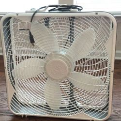 Fan