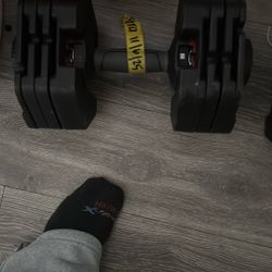 Adjustable Dumbbell Bowflex 