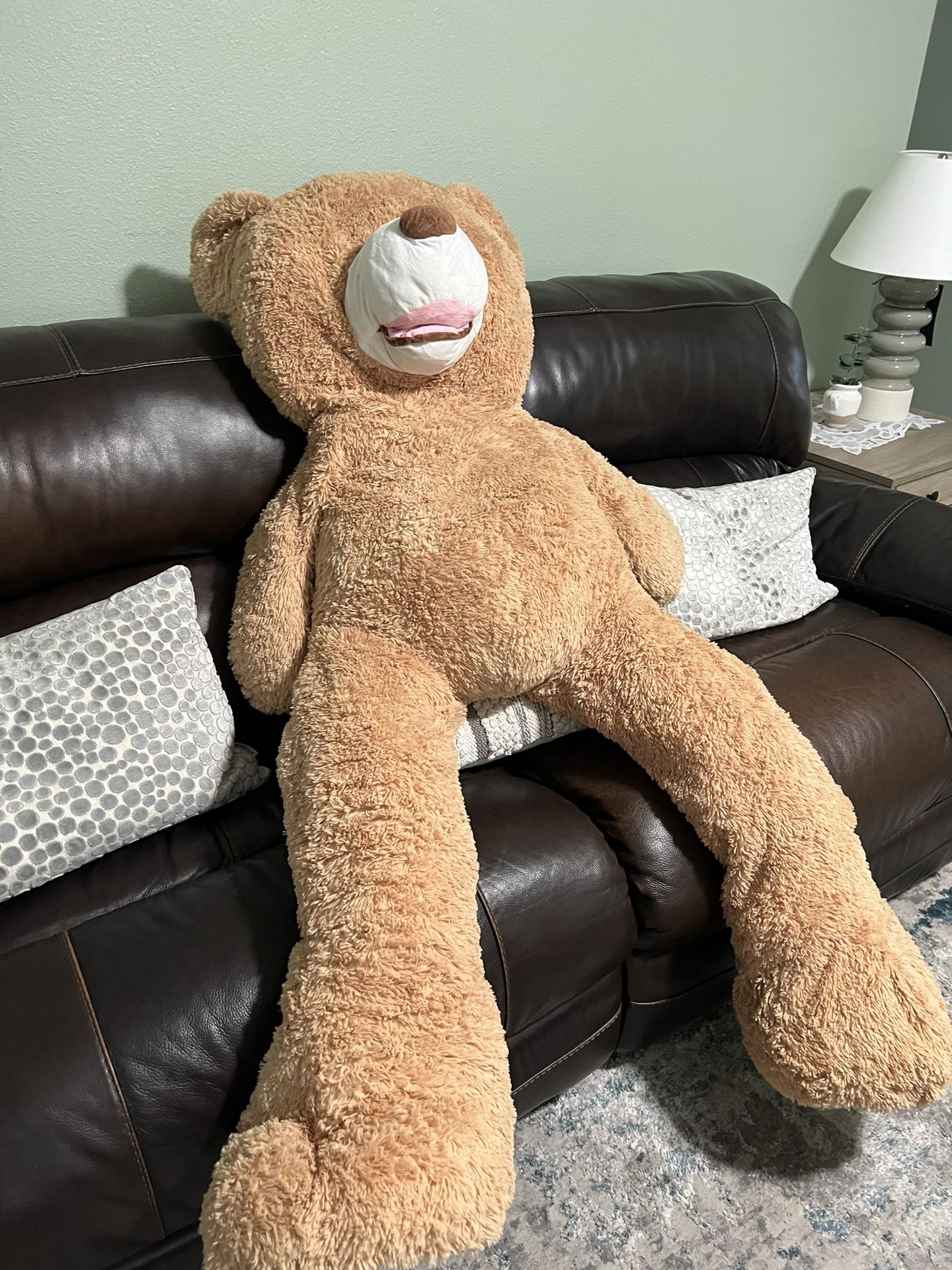 Teddy Bear 5. 1 P