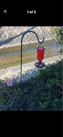 Red Glass Hummingbird Feeder with Shepherd's Hook