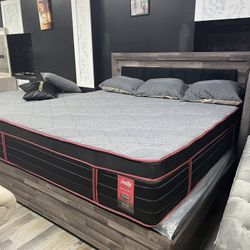 FREE DELIVER SAME DAY 