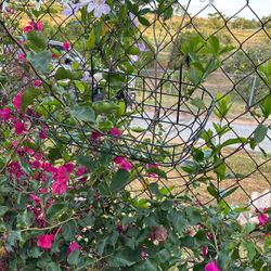 HANGING FLOWER BASKET
