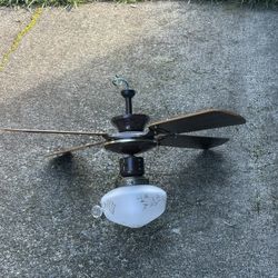 Dining Room Light And Overhead Fan With Light