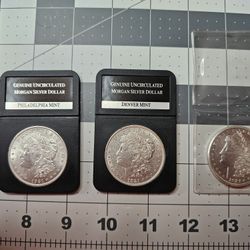 Uncirculated 1921 P, D & S Morgan Silver Dollars