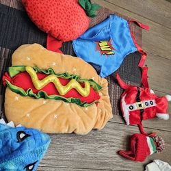 Guinea Pig Outfit, Halloween Custom 