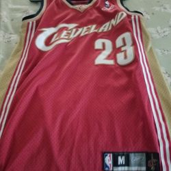 Lebron James Jersey 