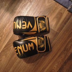 Venom Boxing Gloves 