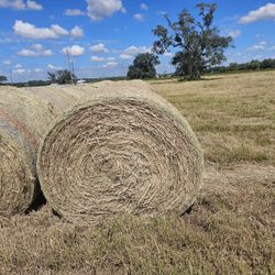 Hay Fertilized 