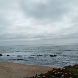 Personal Transportation Of Vehicles Very Reasonable Price