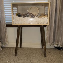 Hamster cage enclosure with all accessories