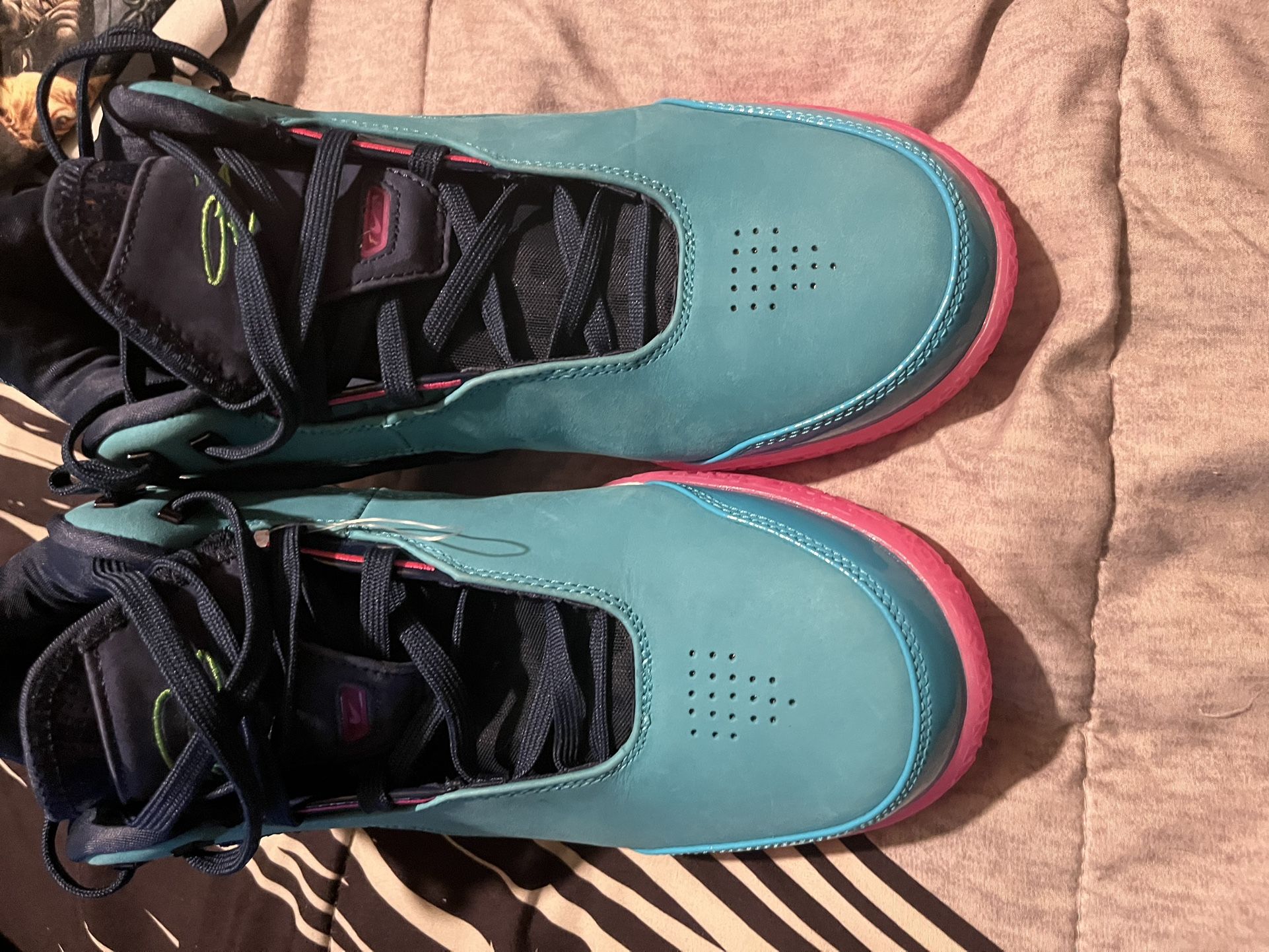 Lebrons