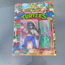 Wacky Wild West Teenage Mutant Ninja Turtle 